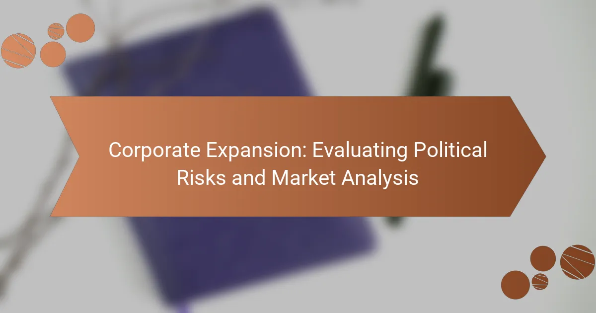 Corporate Expansion: Evaluating Political Risks and Market Analysis