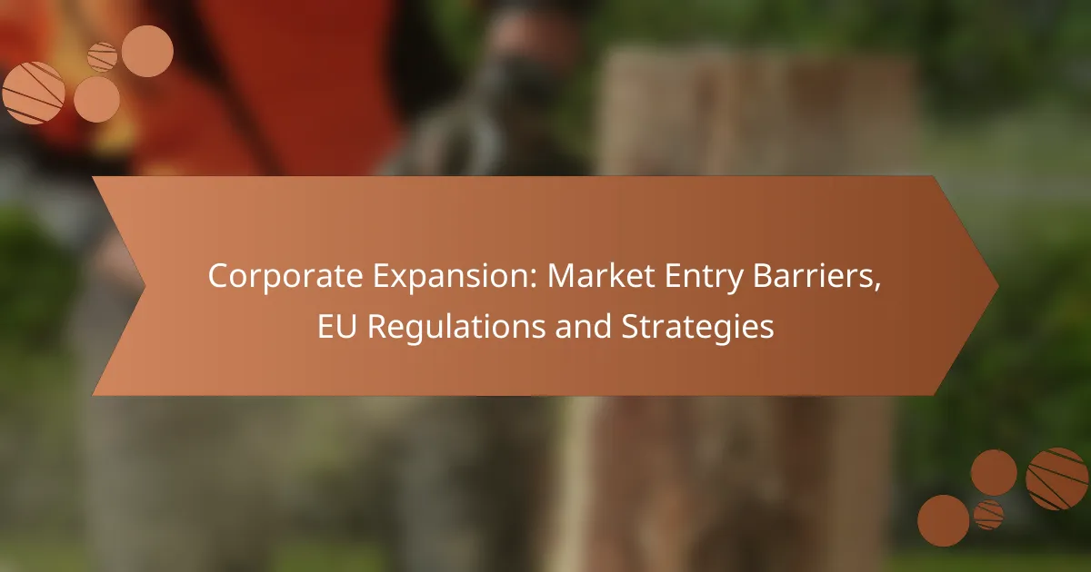 Corporate Expansion: Market Entry Barriers, EU Regulations and Strategies