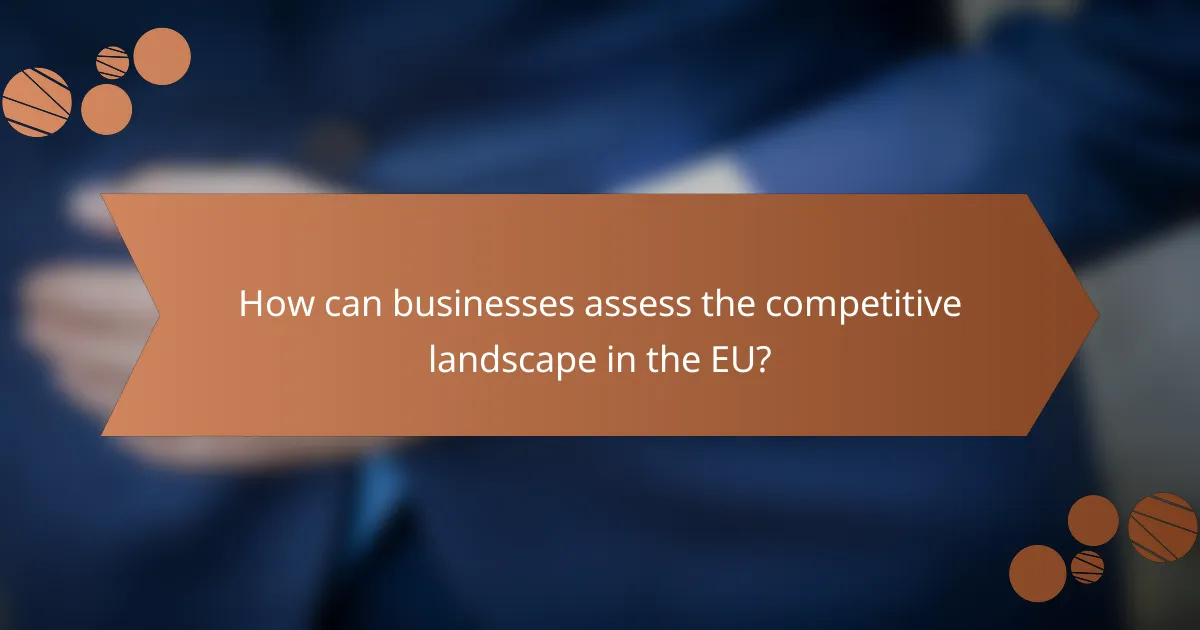 How can businesses assess the competitive landscape in the EU?