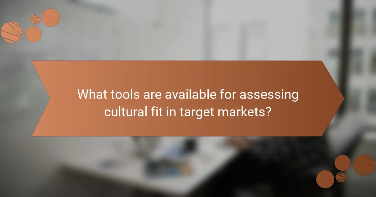What tools are available for assessing cultural fit in target markets?